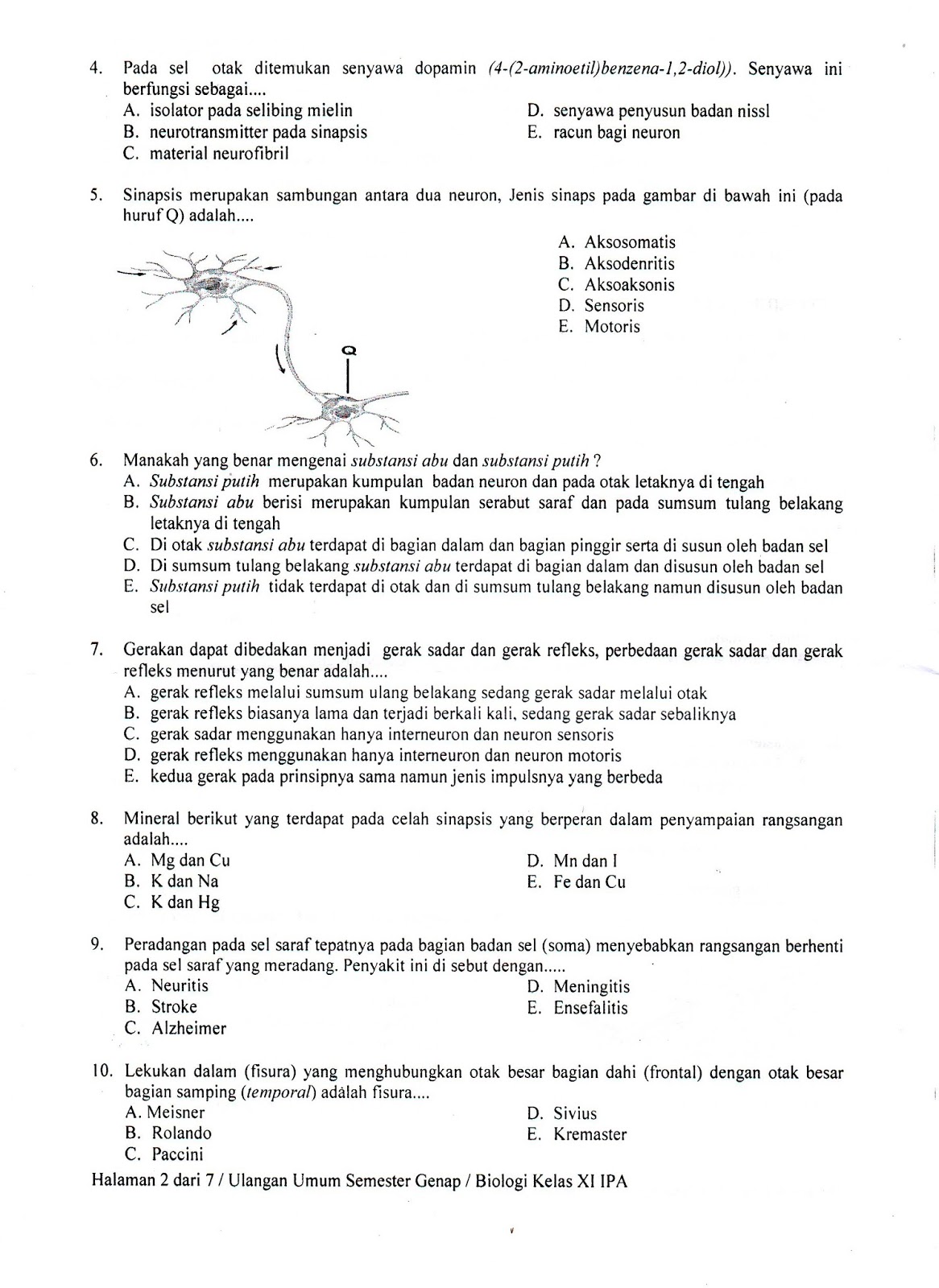 Contoh Soal Mid Biologi Kelas XI Semester 2 Ternyata Segampang Ini, Wajib Tahu 5 Pola Rahasianya